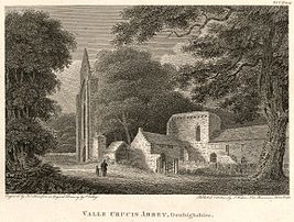 Valle Crucis Abbey, Denbighshire