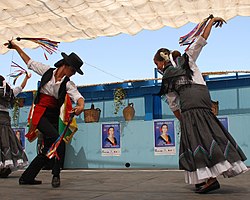 Serranía Falda Flamenca