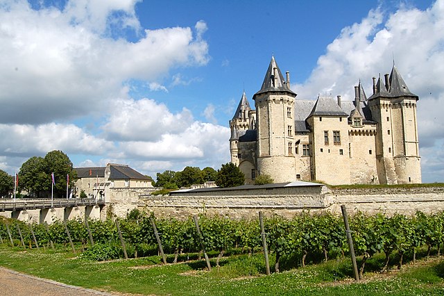 Vineyard in the Loire Valley near Saumur