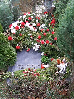 Vladimír Dzurilla grave.JPG