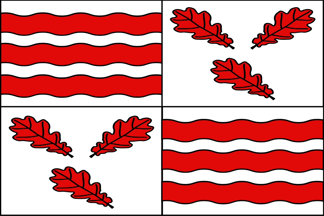 Vlag van Froidchapelle