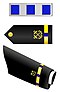 WO4 USN CWO4.jpg