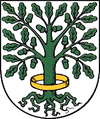 Coat of arms Dingelstaedt.png