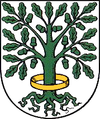 Dingelstädt mührü