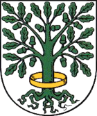 Coat of arms of the city of Dingelstädt