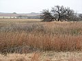 Washita Battlefield Washita-battlefield-2.jpg