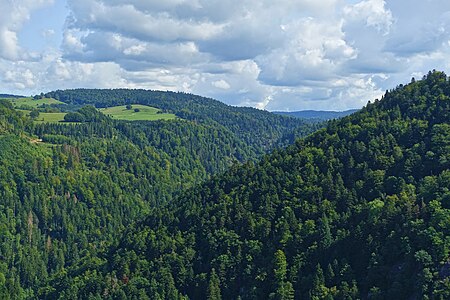 Wehr (Baden) Naturschutzgebiet Bannwald Wehratal Bild 28