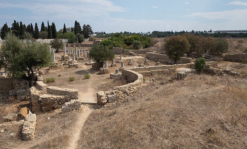 File:Western view of Basilica Damous El Karita.jpg