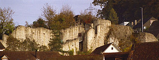 <span class="mw-page-title-main">Münchenstein Castle</span> Castle in Switzerland