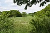 Wiki DSC00306 Meadow valley from Beedenkirchen 1431025.jpg