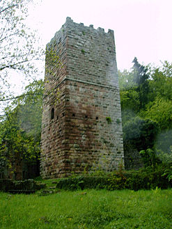 Kirchzell Burg Wildenberg: Geografische Lage, Geschichte, Beschreibung