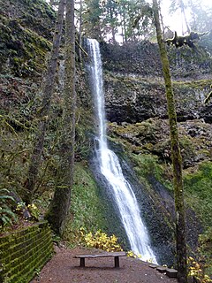 Winter Falls Waterfall in Silver Falls State Park