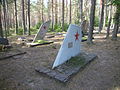 Lennukiosadega hauatähised Ämari lennuväekalmistul