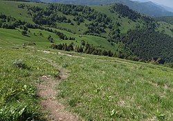 Močidlo v Ľubochnianské dolině