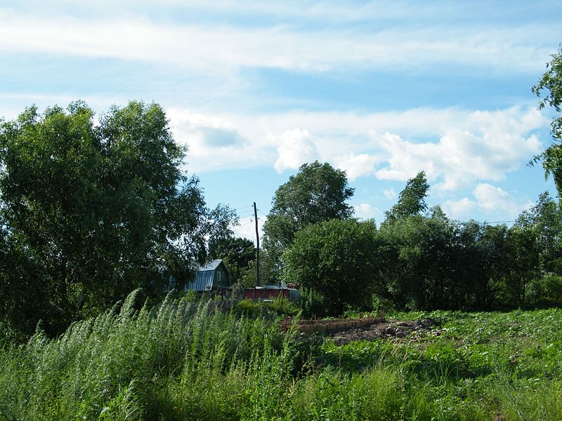 File:Село Владимировка ЕАО фото.JPG