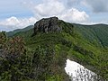 ライオン岩（Lion rock） - panoramio.jpg