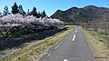 千曲川自転車道 - panoramio (2).jpg