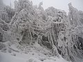 大佛山雪景1 - panoramio.jpg
