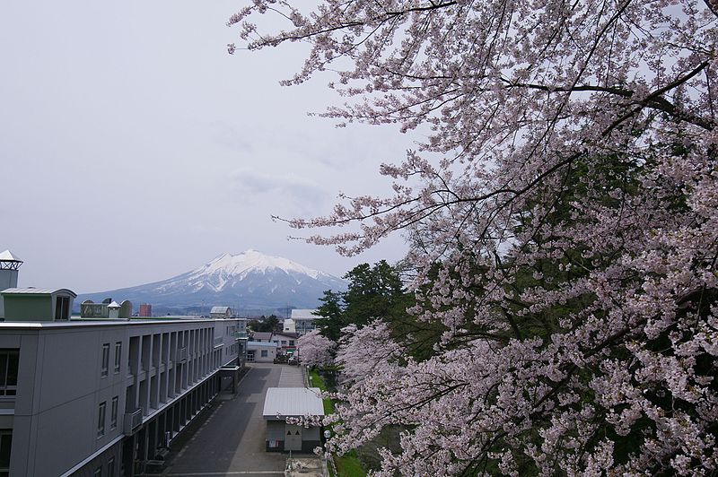 File:岩木山 - panoramio.jpg