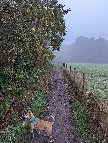 File:-2022-11-14 Looking along a footpath, Bourne, Lincolnshire.jpg