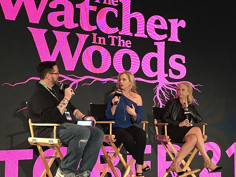 Watcher in the Woods 2017 Review