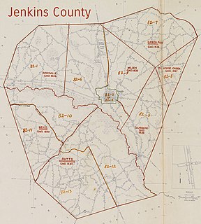 Jenkins County, Georgia, riot of 1919 Race riot and lynchings, Georgia, USA