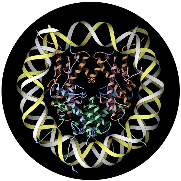 File:1aoi nucleosome rib round.tif