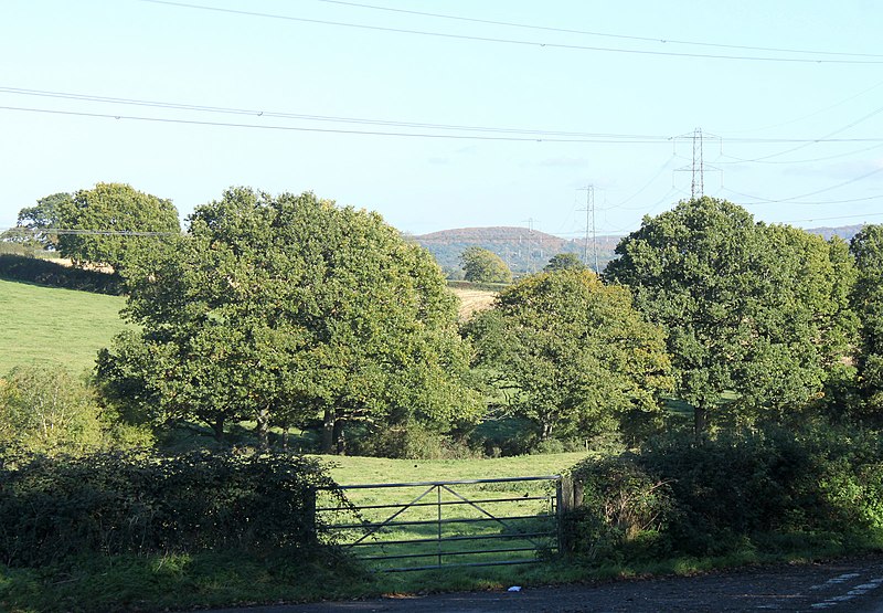 File:2010 , A fine stand of pylons - geograph.org.uk - 2132734.jpg