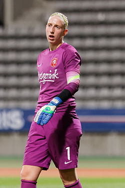 20141015 - PSG-Twente 084 (cropped).jpg