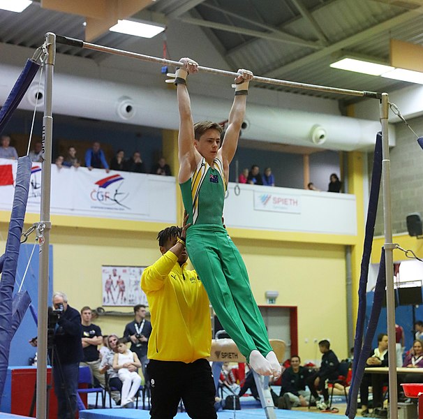 File:2019-11-30 OHC Liberec 2019 MAG Apparatus finals Horizontal bar (Martin Rulsch) 059.jpg