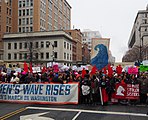 2019 Women's March on Washington, D.C.