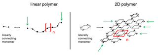 Two-dimensional polymer