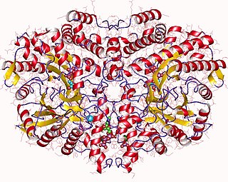 <span class="mw-page-title-main">Ribonucleoside-triphosphate reductase</span>