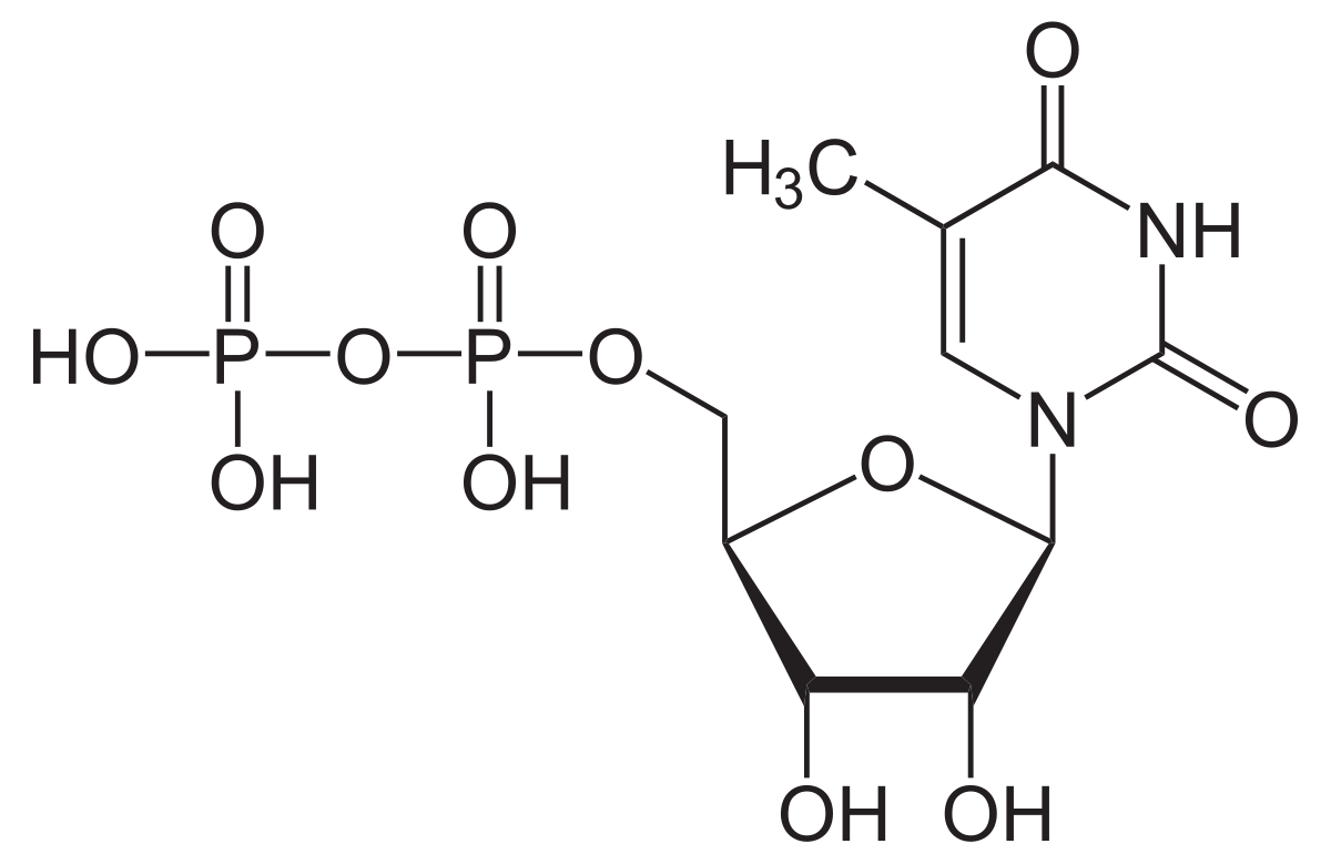 5-Méthyluridine diphosphate — Wikipédia