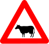 A27.2: Cattle and other large livestock