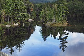 Little Rock Pond