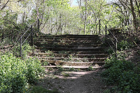 Shady stairs in forrest