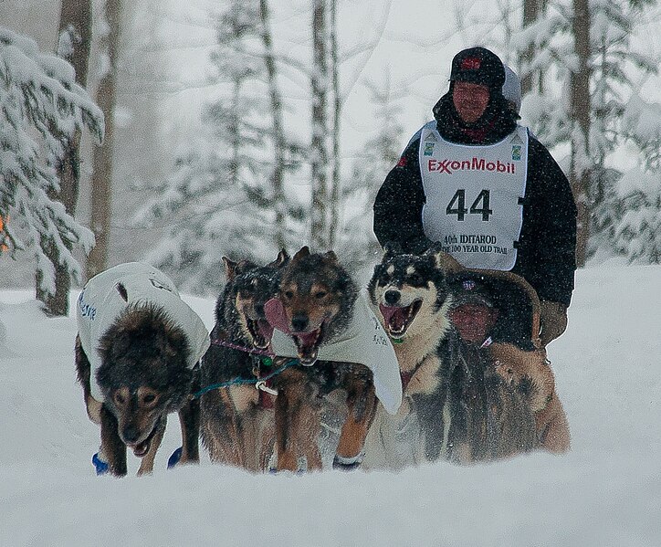 File:Aaron Burmeister's team on a mission (6804780938).jpg