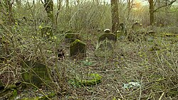 An abandoned Jewish graveyard Abandoned Jewish Cemetery, Hrivcice - panoramio.jpg