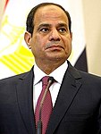 2014 Egyptian Presidential Election