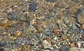 * Nomination Pebbles in a stream at Aberdesach. Mattbuck 03:07, 31 May 2010 (UTC) * Decline It's nice, but quite small and bit noisy. The biggest problem IMO is the composition: the focus should be on foreground, not on background. Sorry. --kallerna 06:24, 5 June 2010 (UTC)