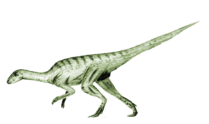 Agilisaurus