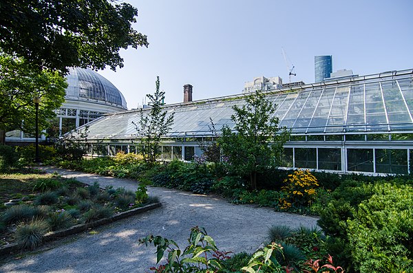 Extensions of the Palm House, built during the 1920s and 1950s