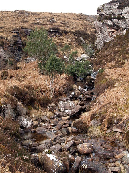 File:Allt Bealach - geograph.org.uk - 752340.jpg