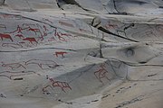 English: Rock art in the world heritage area in Alta, Norway. This is from the area Bergbukten 1, a group of some 900 figures. 23-25 m above sea level, and 6000-7000 years old.