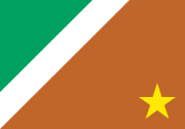 The proposed state flag of Mato Grosso do Sul used ochre instead of blue.