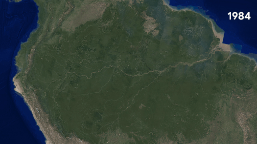 Timelapse of recent deforestation of the Amazon rainforest Amazon Rainforest, Brazil Timelapse 1984-2018.gif