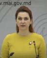 Miniatură pentru versiunea din 22 iunie 2023 16:28