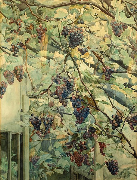 File:Anna Syberg Druer i et Drivhus Grapes in a Greenhouse 1903.jpg