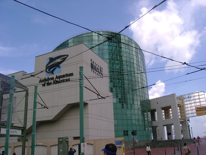 File:Aquarium of the Americas, New Orleans, after Katrina.jpg